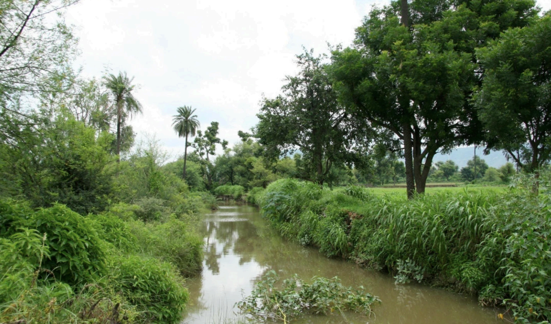A river comes to life, revival of Nanduwali River and its streams in Alwar