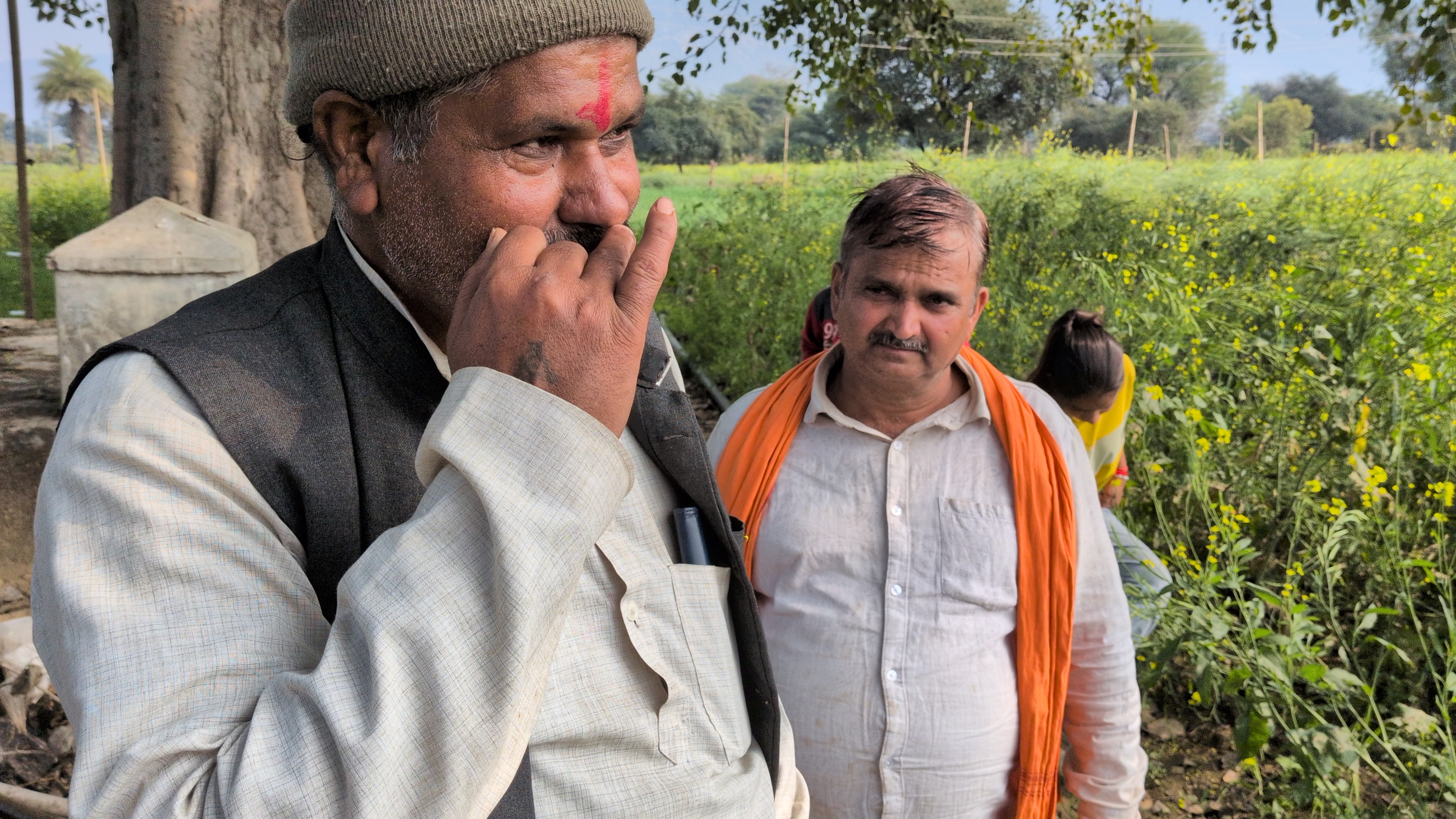 A Farm in Transition