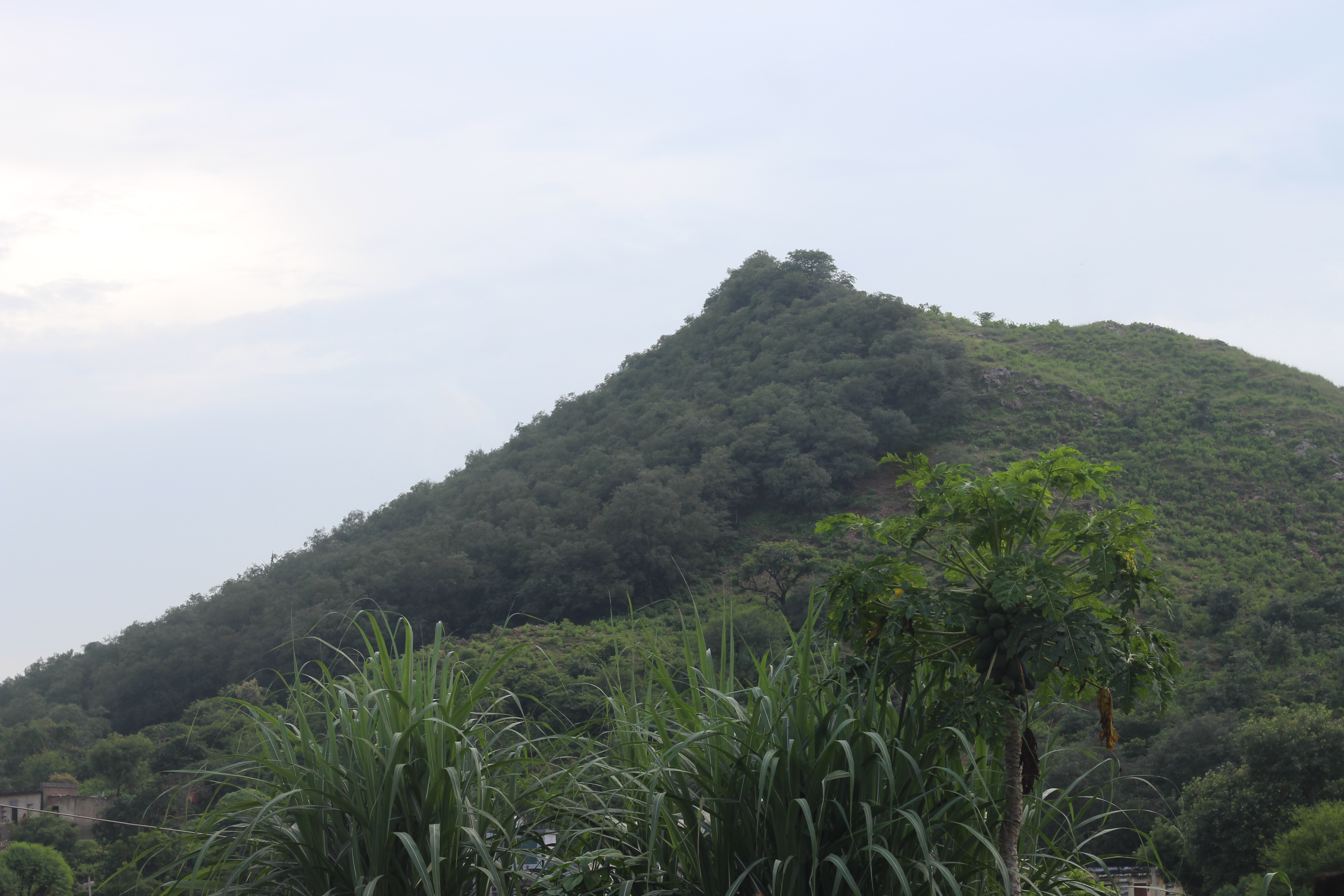 Devbani: Where Protection Becomes Practice