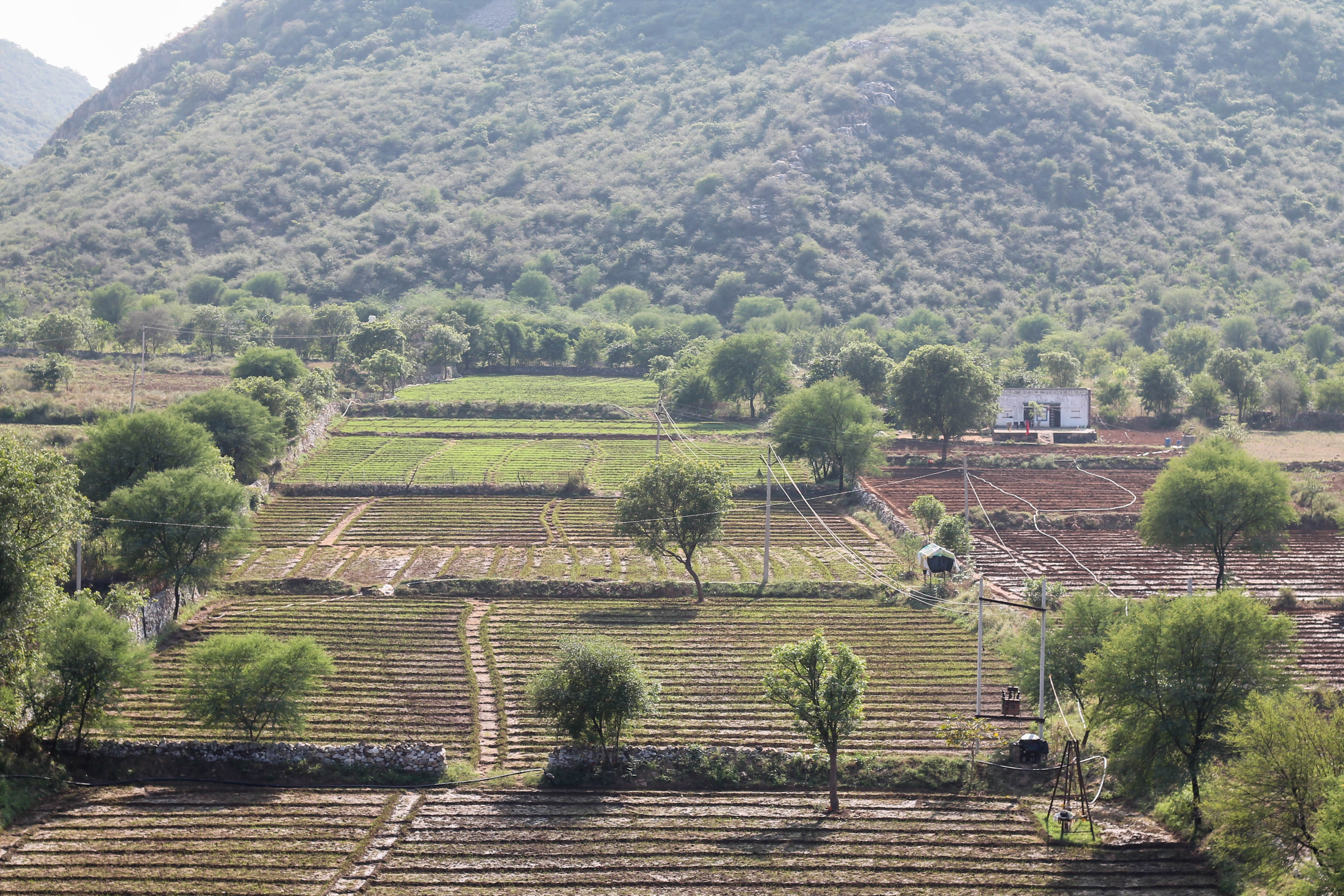 Khet Ka Paani Khet Mein, Khood Ka Paani Khood Mein!