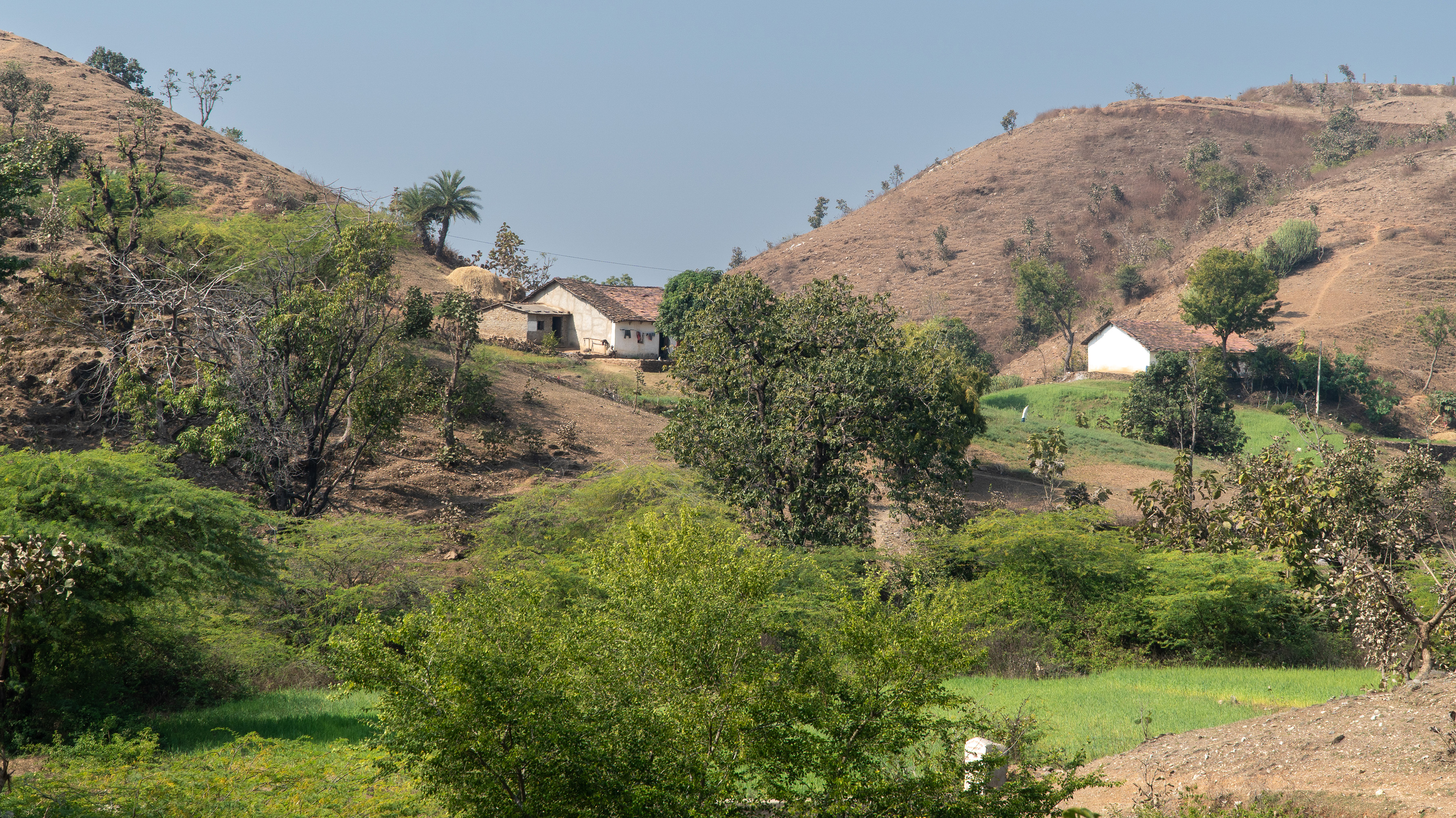Architecture of the Hills
