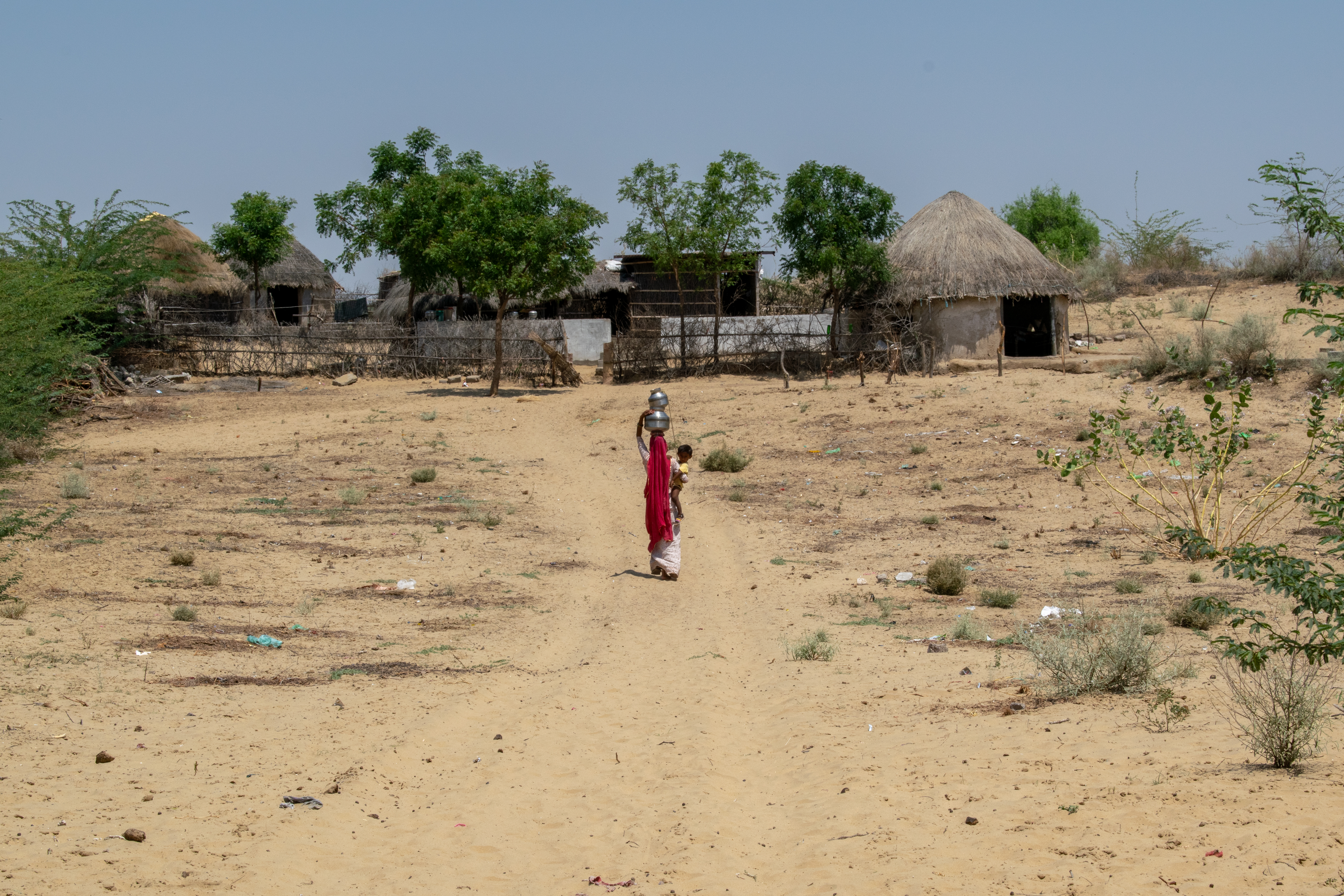 वर्षा के गीत