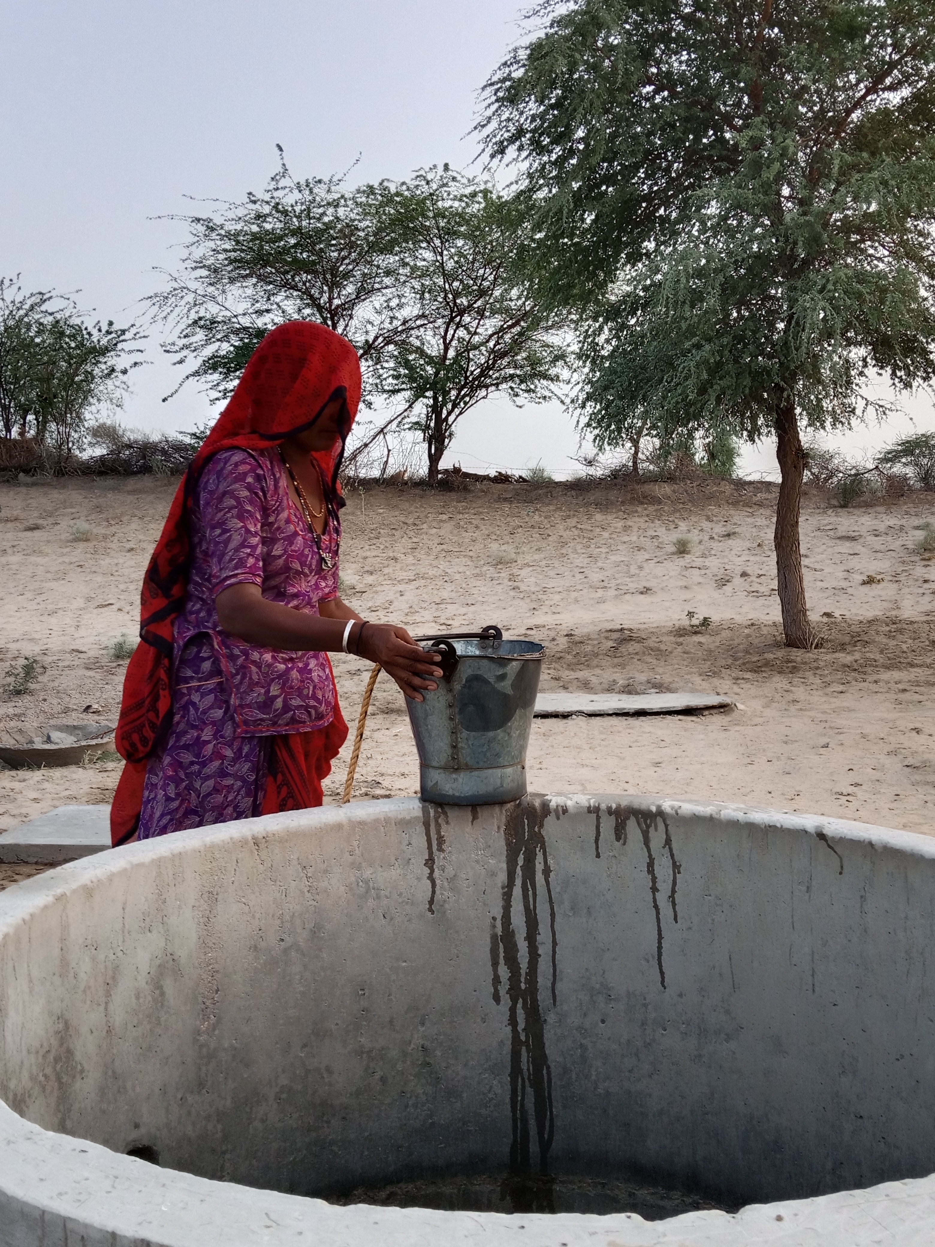 थार की धरती में समाई जल-बुद्धिमत्ता : बेरी निर्माण की पारंपरिक प्रक्रिया